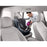 Dyson V7 Motorhead Cordless Vacuum
